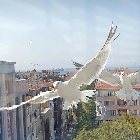 Naila Hotel Istambul